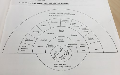 Dahlgren-Whitehead-modellen över faktorer som påverkar folkhälsan
